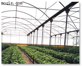 【供应】农业温室大棚用PC阳光板、PC空心板